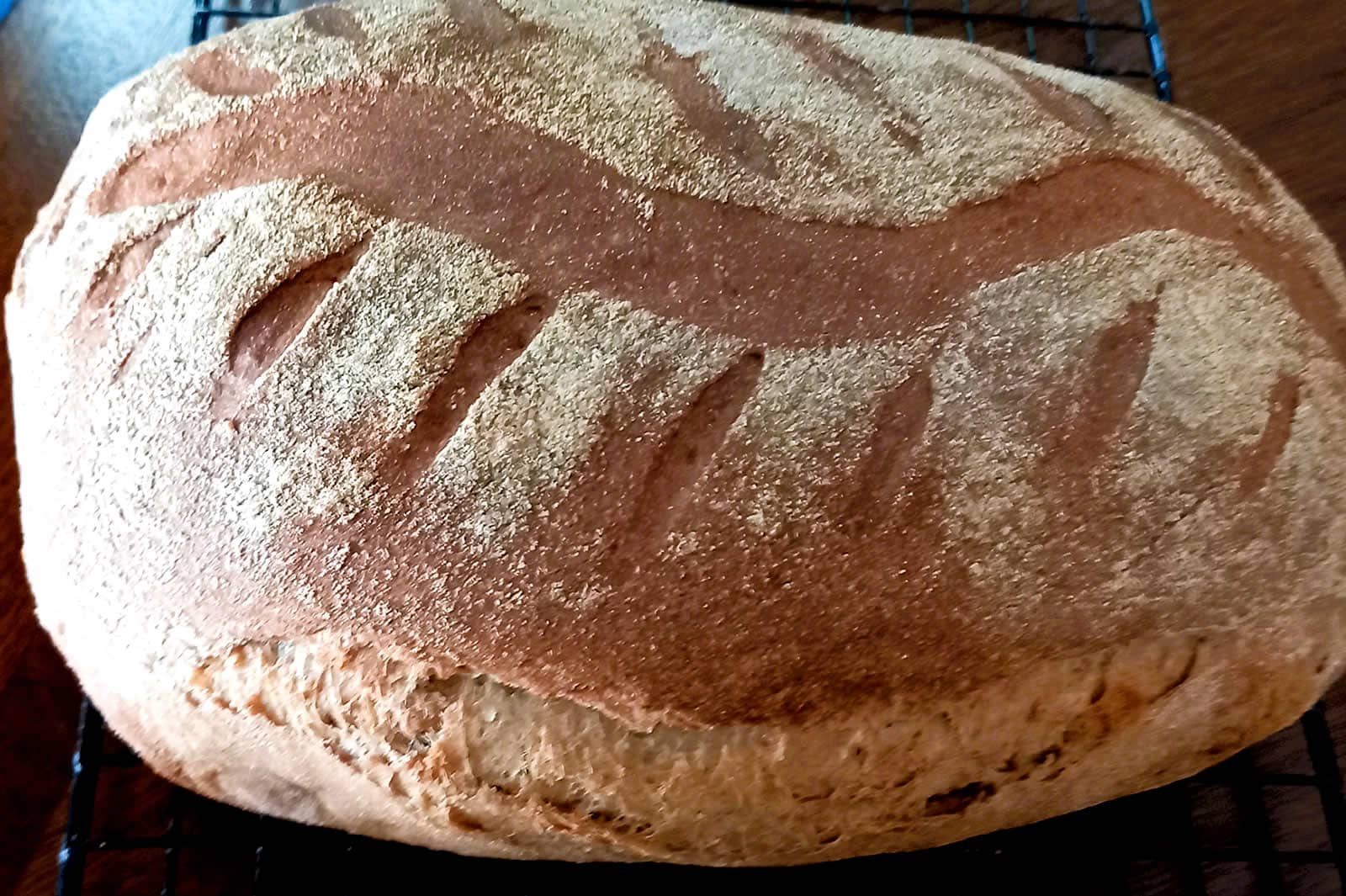 Rye_Bread Papas Bread - Bran Bread in Cumming