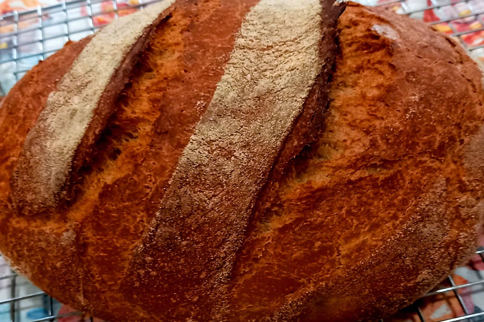 Whole_Wheat_Bread Papas Bread - Bran Bread in Cumming