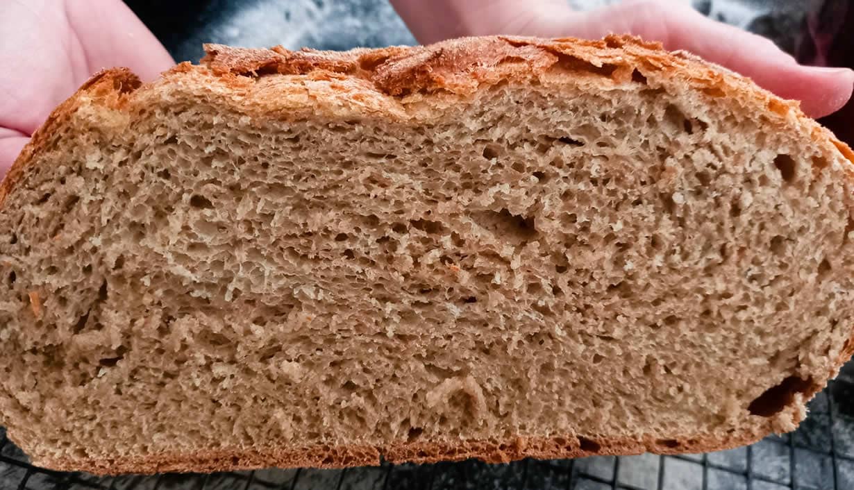 Whole Wheat Bread 2